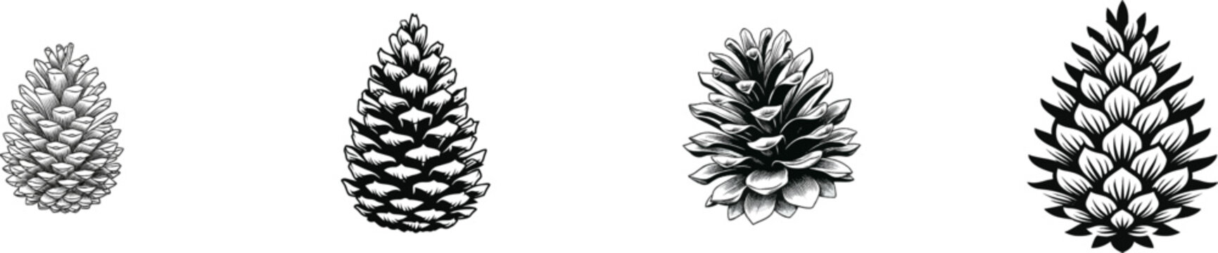 A meticulously detailed pinecone drawing showcases intricate scales in a minimalist engraving style against a stark white background, perfect for vector tracing