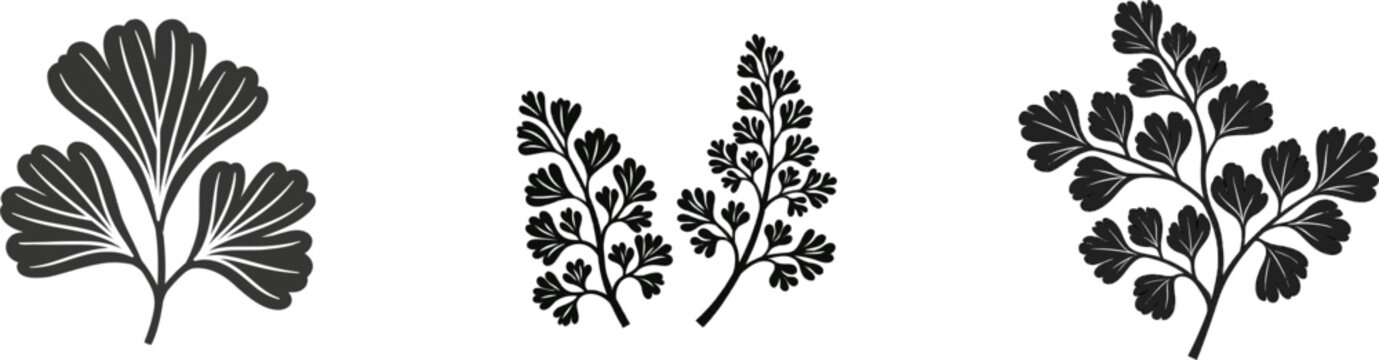 A minimalist black-and-white illustration of a Maidenhair Fern, featuring delicate botanical details against a pure white background, embodies elegance and simplicity in its vector sticker style