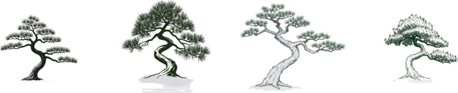 Aged Bonsai Pine tree with twisted trunk in a minimalist black line art style on a stark white background, perfect for vector tracing