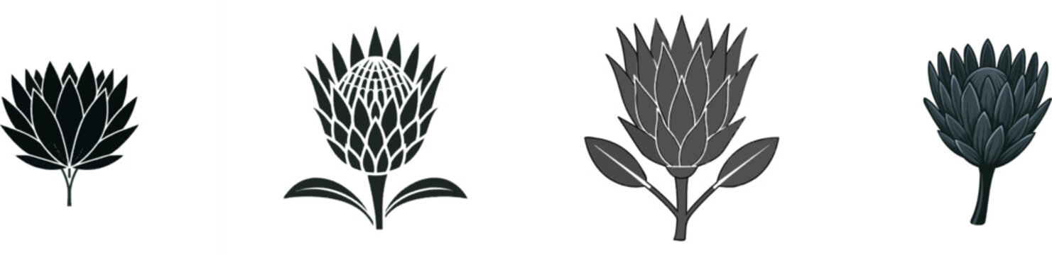 A minimalist Protea flower silhouette in solid black against a white background, featuring clean sharp edges and high-contrast vector design elements
