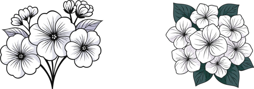 A detailed botanical drawing of a hydrangea flower cluster in black line art with crisp lines and minimal engraving style against a stark white background
