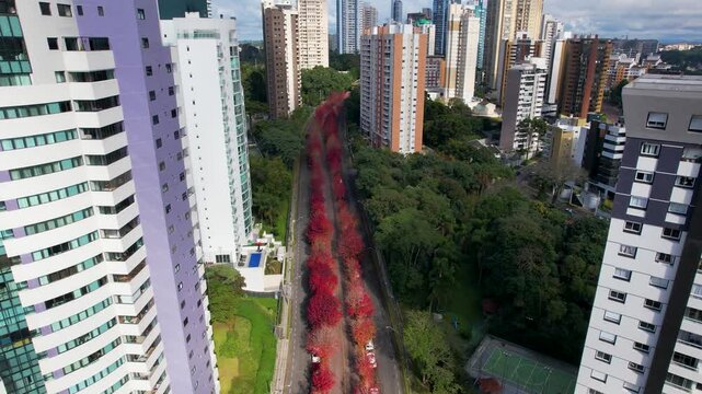 drone da Rua do Outono em Curitiba