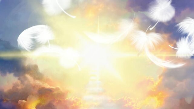 空から舞う天使の羽と天国に続く雲の道の天国背景動画