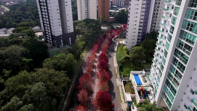 drone da Rua do Outono em Curitiba