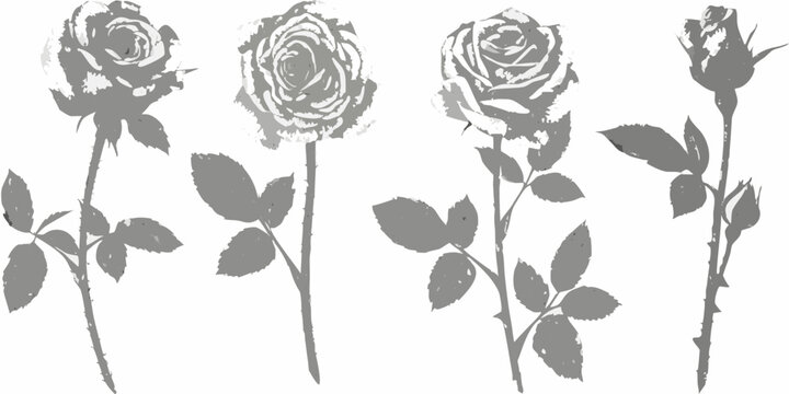 Rose silhouettes on a white background botanical floral shapes