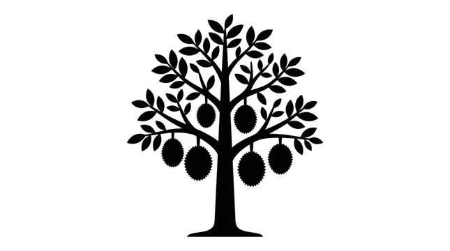 Silhouette of a Jackfruit Tree with Ripe Fruit.