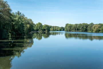 Obraz premium Calm lake reflects trees and blue sky in a natural setting on a sunny afternoon