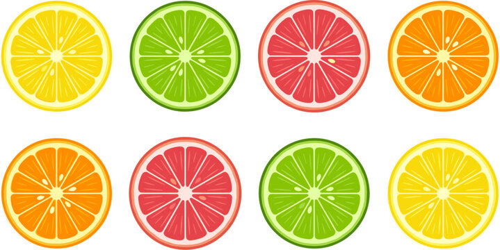 Bright lemon, lime, grapefruit, and orange slices flat vector illustration for healthy food, fresh fruit, and commercial design