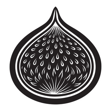 Blackandwhite illustration of a fig or teardrop shape with decorative patterns isolated on white background