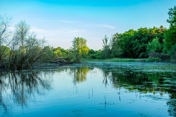 Fototapeta premium Majestic view of a vast flowing wide river winding through scenic natural countryside landscape, tranquil freshwater ecosystem background, peaceful wilderness environment, Beautiful scenic landscape