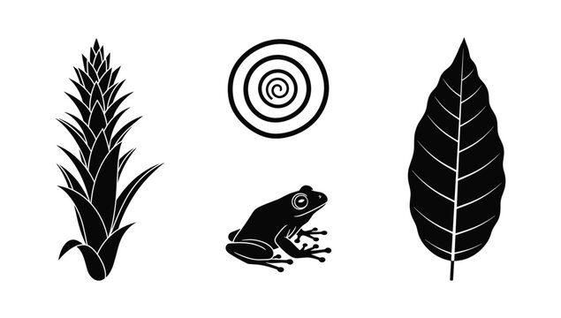 Abstract nature symbols including decorative spiral geometric shape frog silhouette and large tropical leaf isolated on white background