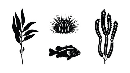 Marine life and underwater vegetation icon set featuring sea urchin fish and seaweed for oceanography and aquatic biology design projects © NorStock
