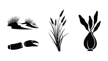 Coastal vegetation and marine life collection featuring beach grasses grains and crab pincers for environmental and maritime graphic design © NorStock