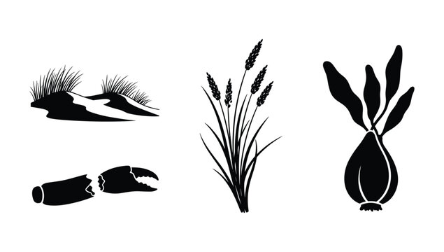 Coastal vegetation and marine life collection featuring beach grasses grains and crab pincers for environmental and maritime graphic design