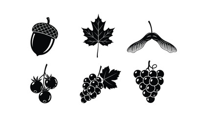 Autumn harvest icons featuring acorn and grape cluster silhouette for seasonal graphic design and agricultural themed marketing materials © NorStock