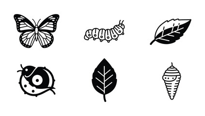 Life cycle of a butterfly icon set featuring caterpillar chrysalis leaf and adult butterfly for biological and nature education © NorStock