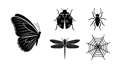 Collection of insect and arachnid icons featuring butterfly spider web dragonfly and ladybug for nature and science design © NorStock