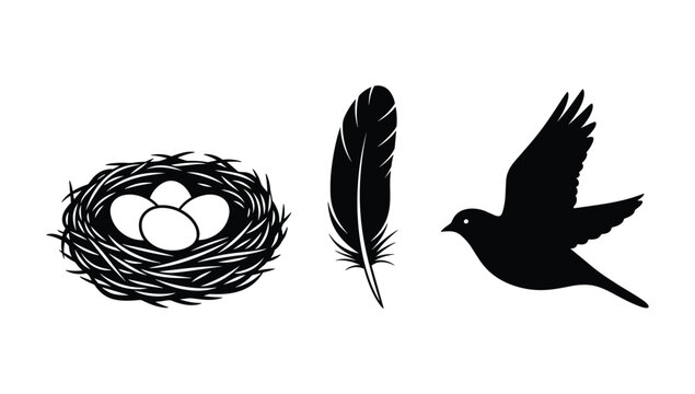 Bird life and nesting icons featuring eggs in nest feather and flying bird silhouette for ornithology and nature graphic projects