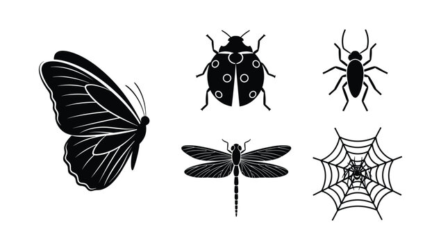 Collection of insect and arachnid icons featuring butterfly spider web dragonfly and ladybug for nature and science design