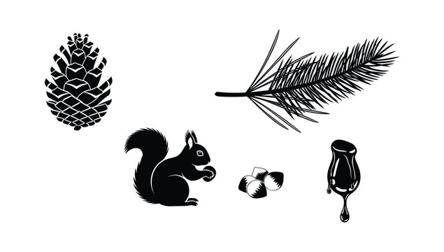 Forest nature elements pine cone squirrel acorns and pine branch illustration