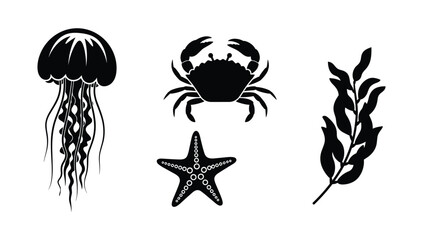 Ocean sea life icons collection jellyfish crab starfish seaweed black and white © NorStock