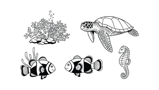 Marine life illustration featuring sea turtle clownfish seahorse and coral reef elements