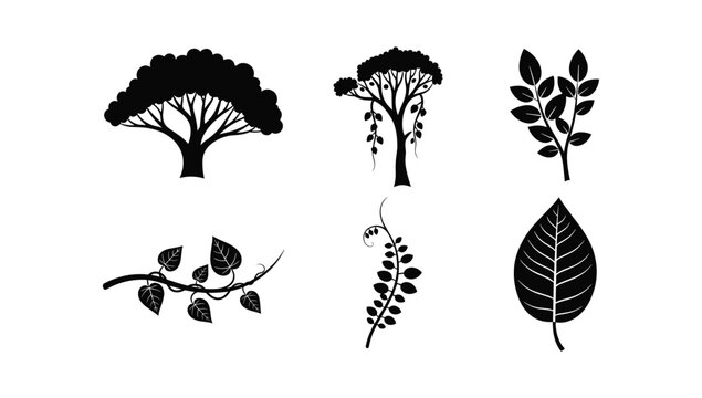 Diverse collection of black silhouette flora and fauna elements including trees vines and leaves