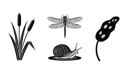 Wetland flora and fauna vector illustration icons cattails dragonfly snail © NorStock