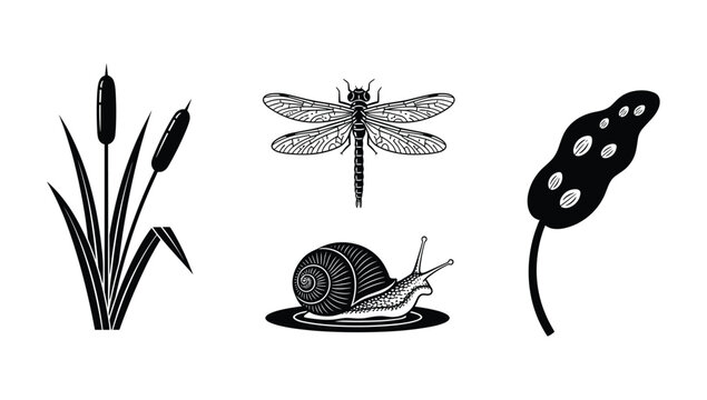 Wetland flora and fauna vector illustration icons cattails dragonfly snail