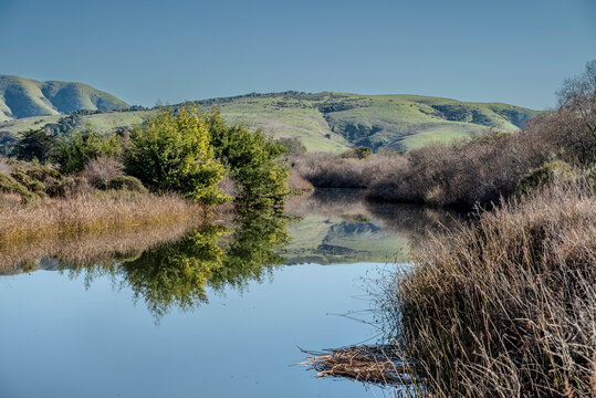 Idyllischer Fluss Lagunitas Creek auf Point Reyes in Kalifornien