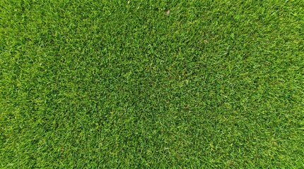 Obraz premium Vibrant green grass texture from an aerial perspective, showing a dense and healthy lawn surface.