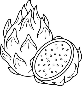 A line drawing of a dragon fruit on a white background, for educational use or in coloring books.