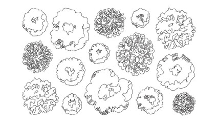 Detailed hand drawn tree top view illustrations for master planning and landscape designs. © Sara Studio