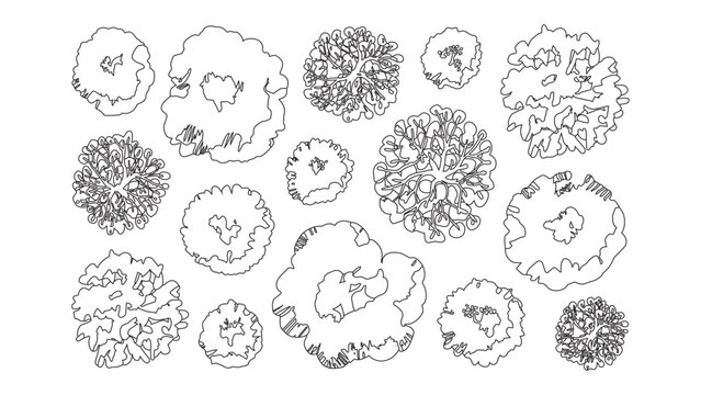 Detailed hand drawn tree top view illustrations for master planning and landscape designs.