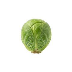Fototapeta premium Single Brussels sprout, green vegetable, fresh