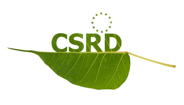 CSRD text and icon green leaf isolated on transparent background.