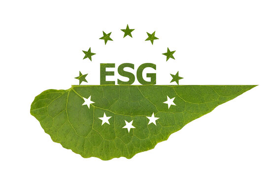 ESG text and icon green leaf isolated on transparent background.