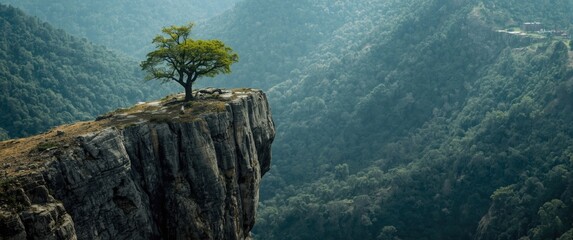 Obraz premium Lone Tree Growing on Rocky Precipice Mountain Landscape, Misty Atmosphere, Wide Shot
