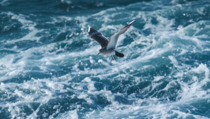 Fototapeta premium Adult black legged kittiwake wings spread flying over restless ocean waves