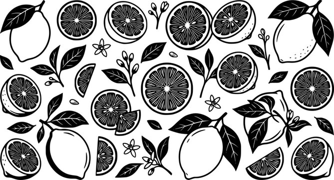 Citrus fruit collection, lemon slices and halves, flat vector illustration
