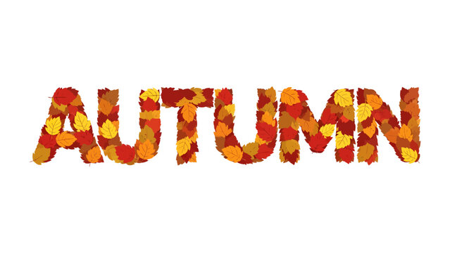 Autumn Leaves Word Art: The word AUTUMN is creatively formed using a mosaic of colorful fallen leaves in shades of red, orange, and yellow, evoking the essence of the fall season.