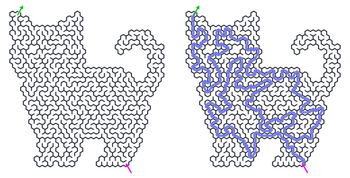 Cat maze design with intricate paths and colorful outlines  