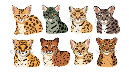 Collection of Wild Cats: A vibrant illustration featuring a variety of distinctively patterned wild cat species, each with unique markings and expressions, showcasing the diversity of feline wildlife. © mahmuda428