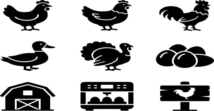 Cinema Bird Logo Icon Set with Creative Eagle and Falcon Symbols Combined with Film Reel Video Camera and Play Button Media Branding Graphic Designs