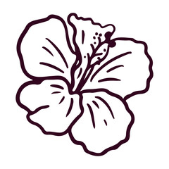Hand drawn blooming hibiscus flower doodle vector illustration © Dindarchmh