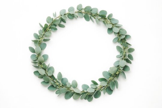 White backdrop featuring a supine eucalyptus branch circle with leaves pointing up