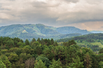 Obraz premium Summer Mountains Landscape with Green forest.