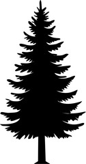 Obraz premium Evergreen Tree Silhouette: Pine, Fir, Spruce