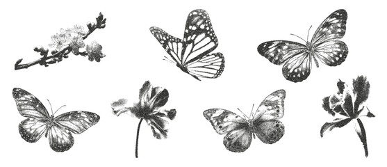 Naklejka premium Stipple dot butterflies, flower, leaf silhouette. The effect of grain and dotted lines. Vector illustration.