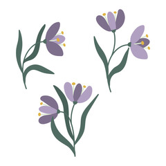 Fototapeta premium Set of minimalist floral illustrations with purple flowers and green leaves in Scandinavian style. Modern flat botanical collection featuring simple hand drawn blossoms isolated on light background.